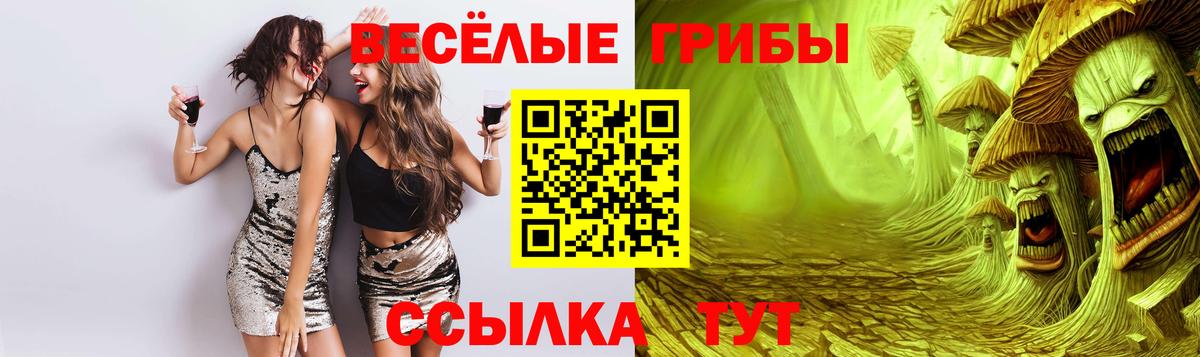 Галлюциногенные грибы ЛСД  цены   Волгоград  Вход с VPN 