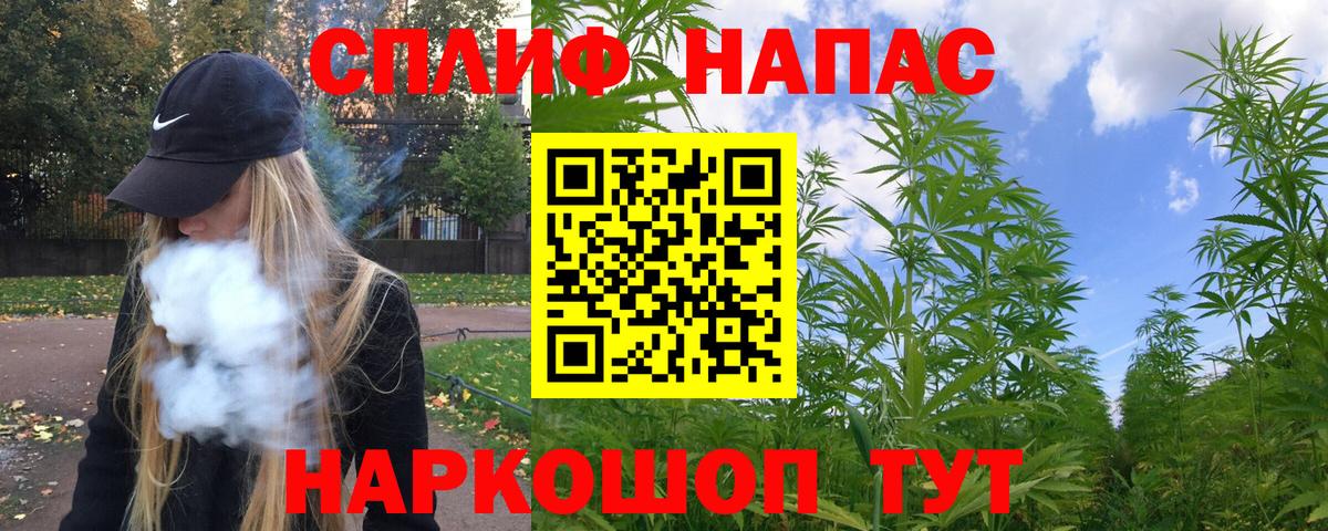 Волгоград  Бошки марихуана гибрид  Бошки марихуана THC 21%  Канабис планчик  Вход с VPN 